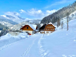 Bio-Bauernhof Grundlehnerhof Ramsau Am Dachstein